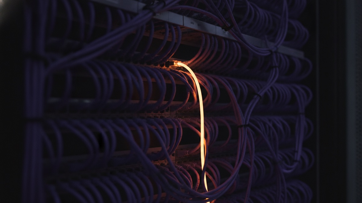 A dense network patch panel with one cable lit along its whole length